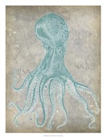 Spa Octopus II Framed Print