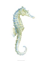Watercolor Seahorse I Framed Print