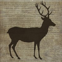 Deer Framed Print