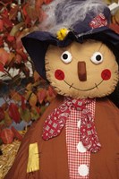 Stuffed Scarecrow on Display at Halloween, Washington Framed Print