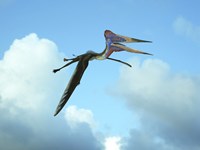 Zhejiangopterus, a genus of azhdarchid pterosaur Framed Print