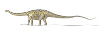3D Rendering of a Diplodocus Dinosaur with Full Skeleton Superimposed Fine Art Print