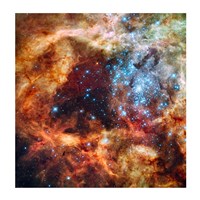 A Hubble Space Telescope image of the R136 Super Star Cluster Framed Print
