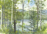 Summer Lake IV Fine Art Print