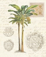 Vintage Palm Study I Framed Print