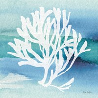 Sea Life Coral I Framed Print