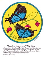 Blue Mountain Swallowtail Framed Print