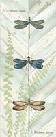 Dragonfly Botanical Panels I Framed Print