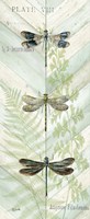 Dragonfly Botanical Panels II Fine Art Print