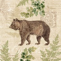 Woodland Trail II (Bear) Framed Print