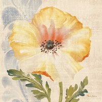 Watercolor Poppies II Framed Print