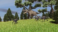 Ceratosaurus Chasing Gigantoraptors Framed Print