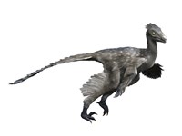 Troodon Dinosaur Framed Print