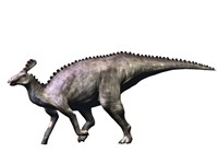 Tsintaosaurus Dinosaur Framed Print
