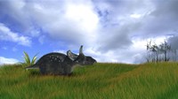 Triceratops Walking across Prehistoric Grasslands Framed Print