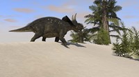 Triceratops Walking along a Prehistoric Landscape Framed Print