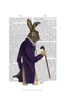 Hare In Purple Coat Framed Print