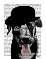 Black Labrador in Bowler Hat Framed Print