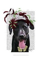 Black Labrador With Green Fascinator Framed Print