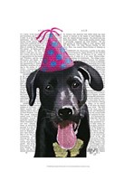 Black Labrador With Party Hat Fine Art Print