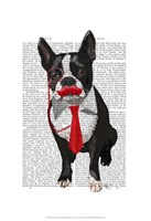 Boston Terrier With Red Tie and Moustache Framed Print