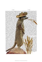 Meerkat Cowboy Framed Print