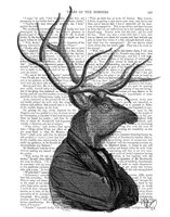Deer Portrait 1 Framed Print