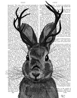 Jackalope with Grey Antlers Framed Print