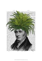 Fern Head Plant Head Fine Art Print