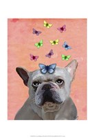 White French Bulldog and Butterflies Framed Print