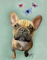 Brown French Bulldog and Butterflies Framed Print