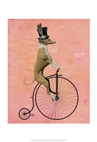Greyhound on Black Penny Farthing Framed Print
