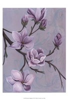 Branches of Magnolia II Fine Art Print