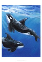 Under Sea Whales II Framed Print