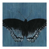 Chambray Butterflies II Fine Art Print