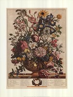 June/Twelve Months of Flowers, 1732 Fine Art Print