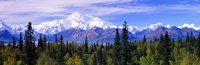 Denali National Park, Alaska Framed Print