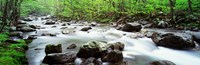 Great Smoky Mountains, Tennessee Fine Art Print