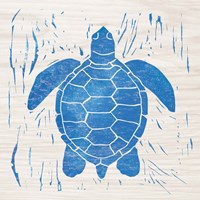 Sea Creature Turtle Blue Framed Print