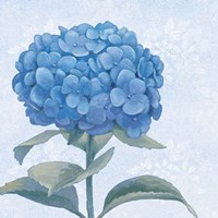 Blue Hydrangea III Crop Framed Print