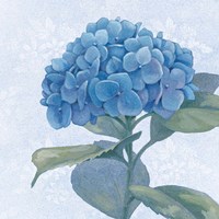 Blue Hydrangea IV Crop Framed Print