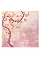 Sweet Cherry Blossoms V Fine Art Print