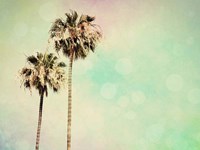Palm Trees I Framed Print