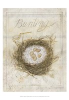 Nest - Bunting Fine Art Print