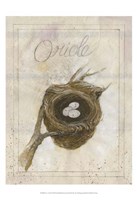 Nest - Oriole Fine Art Print