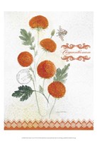 Flower Study on Lace IV Fine Art Print