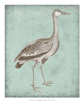 Sepia & Spa Heron I Framed Print