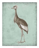 Sepia & Spa Heron II Framed Print