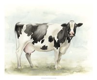 Watercolor Cow I Framed Print