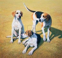 Gary Stinton - Cotswold Foxhounds [Ed 9] Fine Art Print